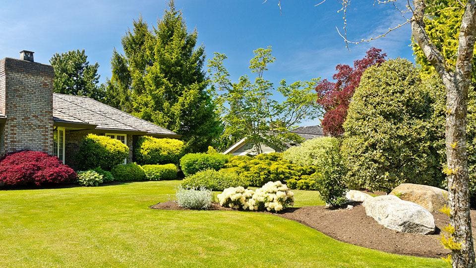 Designing Your Dream Backyard: A Zyntiumdep Perspective